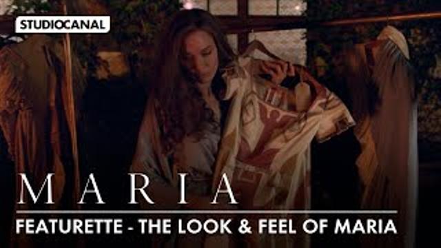 The Look and Feel of MARIA thumbnail