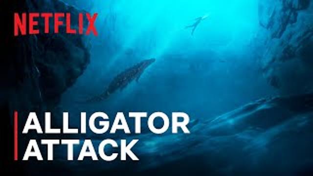 Alligator Attack thumbnail