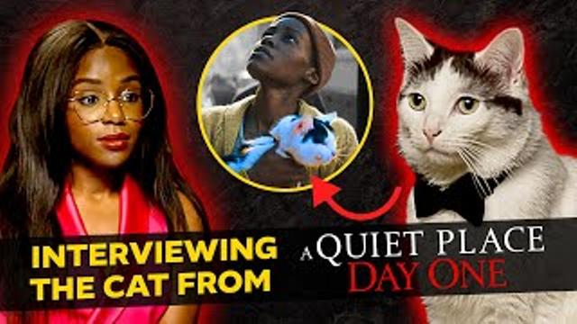 An Exclusive Interview with The Cat from A Quiet Place: Day One thumbnail