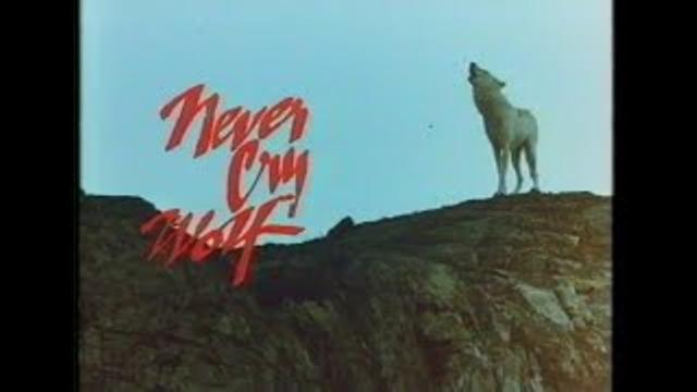 Never Cry Wolf (1983) Trailer thumbnail