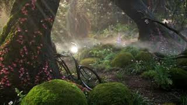 Enchanted Forest Ambience & Music thumbnail