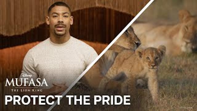 Protect The Pride thumbnail